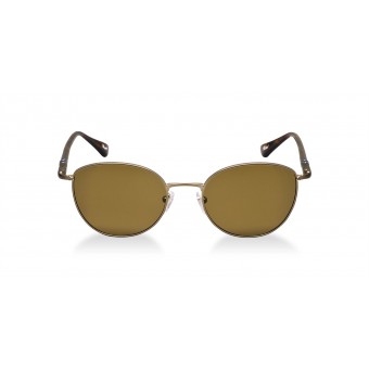 PERSOL 2421 MATTE BROWN/BROWN POLARIZED