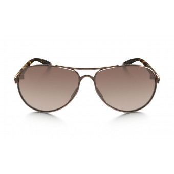 4079 FEEDBACK ROSE GOLD/VR50 BROWN GRADIENT