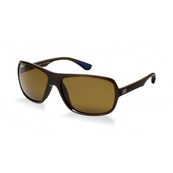 Ray Ban 4192 SHINY BROWN/BROWN