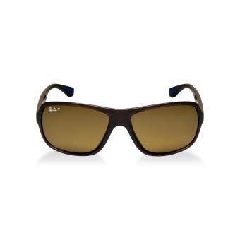 Ray Ban 4192 SHINY BROWN/BROWN