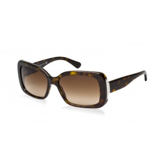 Ralph Lauren 8092 marrone