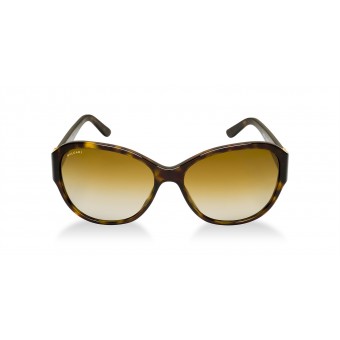 Bulgari 8109 marrone