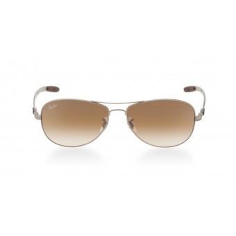 Ray Ban 8301 RUTHENIUM BROWN/BROWN SHADED