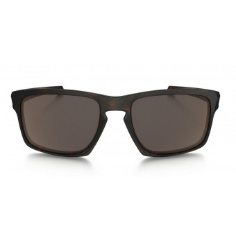9262 SLIVER MATTE BROWN TORTOISE