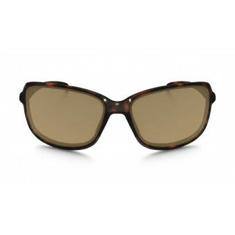 9301 COHORT TORTOISE/BRONZE POLARIZED